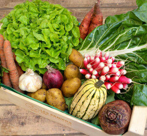 Légumes Bio